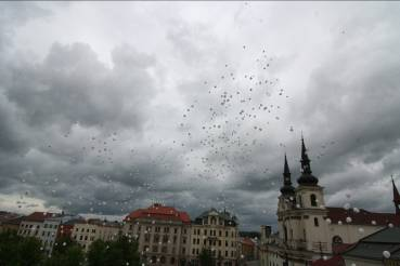 Světlo pro AIDS Město Jihlava hostilo v květnu happening na podporu HIV pozitivních a AIDS nemocných žijících v České republice.