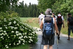 zíme nakonec na značenou trasu a dosahujeme kontrolního bodu. Tam dokonce objevíme razítko Litschauská maratonská cesta Kreuzberg. Máme z toho velkou radost.