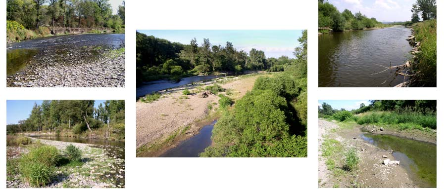 Habitatové typy Habitat H1 peřeje Habitat H2 - příbřežní tišiny