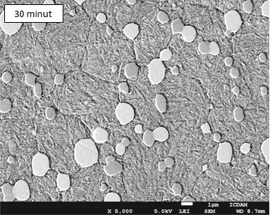 Obr. 14 Mikrostruktura PM oceli Vanadis 30 v popuštěném stavu po 5, 15 a 30 minutách austenitizace při 1100 C Obrázek dokumentuje, že ani v popuštěném stavu není patrný rozdíl ve struktuře oceli