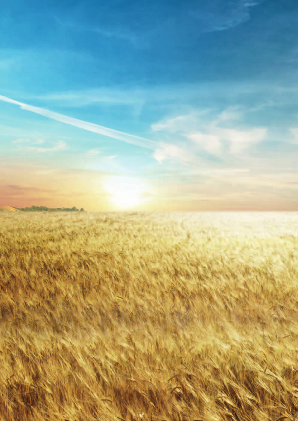 Agrotip