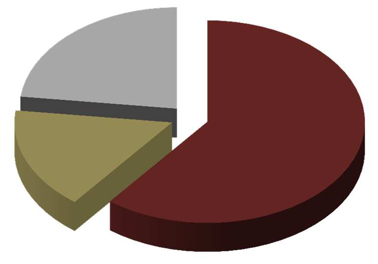 Šetření CK a CA (struktura subjektů dle převažujícího druhu CR a typu zájezdu, %) DRUH CR ZÁJEZDY Incoming 16% Domácí 7% Kombinace 5% Jiné / kombi 23% Outgoing 72%