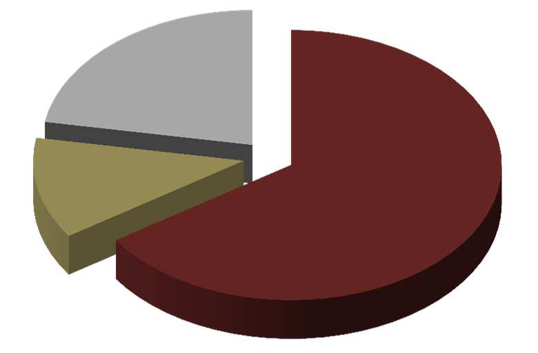 Šetření CK a CA (počet osob dle druhu CR a typu zájezdu, %) DRUH CR ZÁJEZDY Kombinace 14% Domácí 2% Incoming 13% Jiné / kombi 22% Outgoing 71% Poznávací 12%