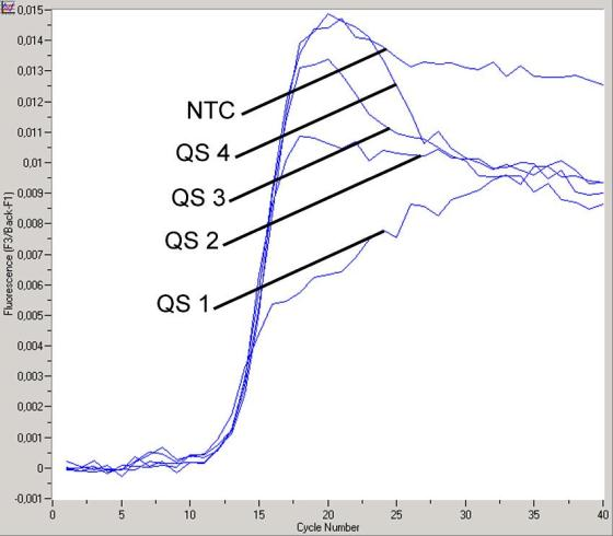 Obr. 14: Průkaz Kvantifikačních standardů (CMV QS 1 4) ve fluorimetrickém kanálu F1 přístroje LightCycler 1.1/1.2/1.5. NTC: beztemplátová kontrola (negativní kontrola). Obr.
