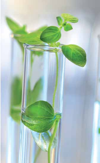 biosanitizer nový, ekologicky šetrný dezinfekční prostředek na bázi vody způsob použití biosanitizer je snadno použitelný čisticí prostředek a dezinfekční přípravek 2 v 1.