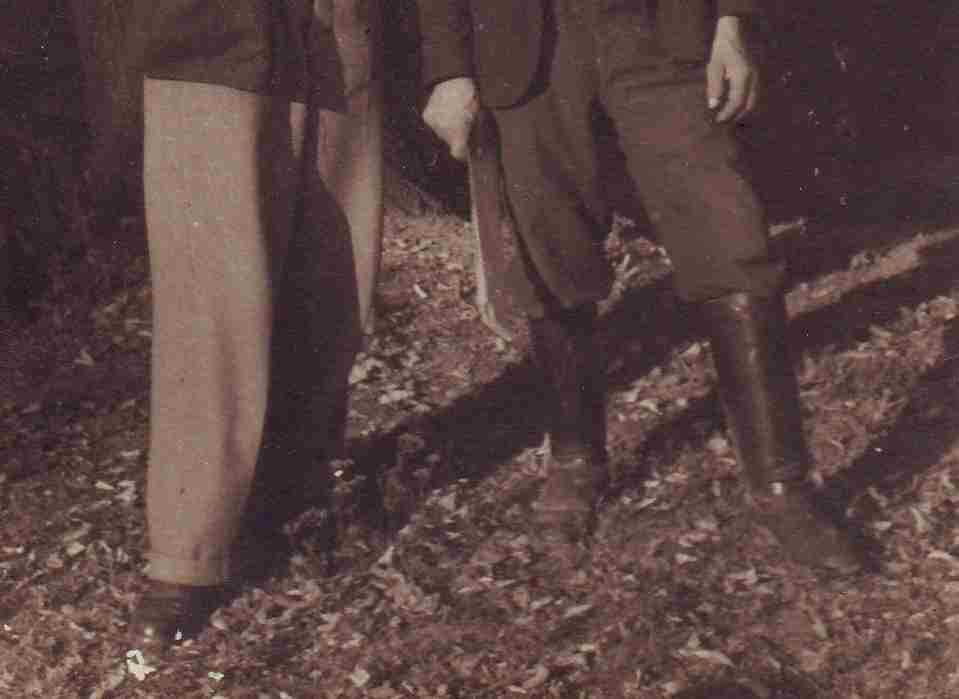 Ve šk. roce 1931/1932 měl učitelský sbor se žactvem v plánu vysadit na obecní pastviska asi 1500 morušových sazenic. Chov bource morušového zavedl na zkoušku Josef Chmela čp. 62 a byl zdařilý (pozn.