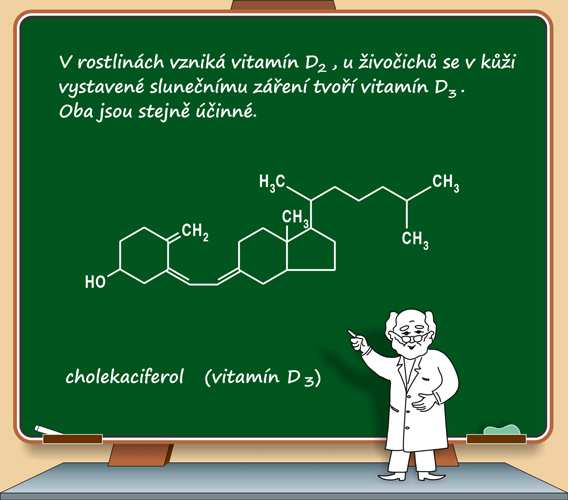 Vitaminy skupiny D (kalciferoly) D 2 -ergokalciferol, D 3 -cholekalciferol 1.
