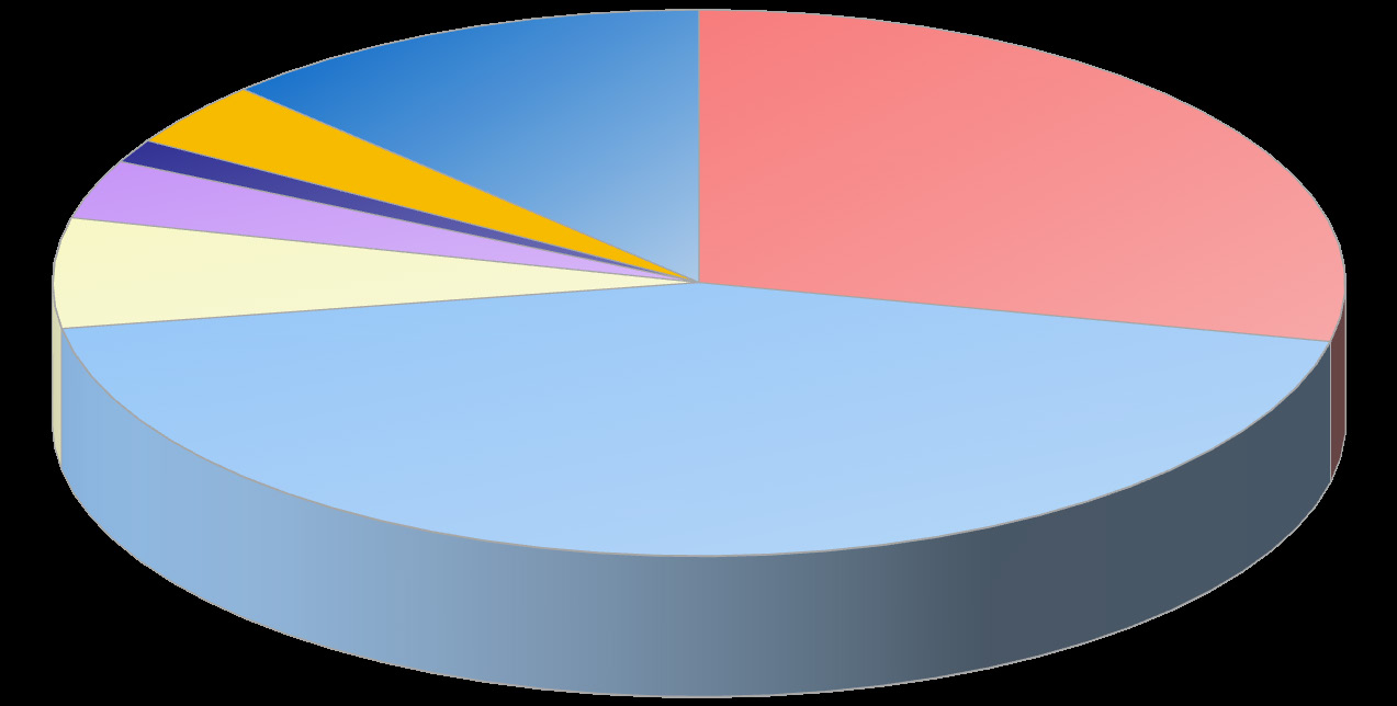 Standardizovaná úmrtnost podle příčin smrti - muži Standardized mortality rate by causes of death - males XI. 3,7% XIV. 1,3% XX. 7,6% Ostatní 9,7% II. 26,6% X. 8,4% IX.