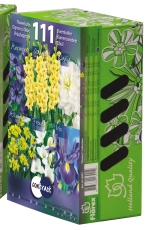 (gladiola, cesnak, acidanthera, veternica, ľalia, frízia) v