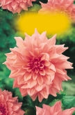 076fb 076fb 07rč