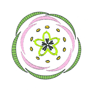Obr. 11-1. Schéma uspořádání květních částí (rožec rolní Cerastium arvense).