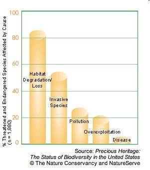 Invasive species non-indigenous species that adversely affect the habitats they invade