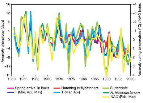 Obr. 2 prostorová variabilita ve vývoji ročních teplotních trendů od roku 1976 v porovnání s normálovými údaji za období 1961 1990. Teplota je udávána ve stupních celsia za dekádu (WHEELER et al.