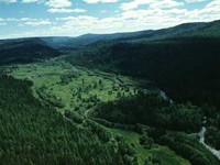 Základní charakteristika: Severský jehličnatý les je název pro biom,, který se vyskytuje především v severních zeměpisných šířkách. Dominantními druhy stromového patra jsou jehličnaté lesy.