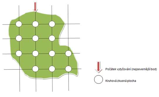 2 MATERIÁL A METODIKA Venkovní měření byla uskutečněna v oblasti Krušných hor, konkrétně v porostech č.