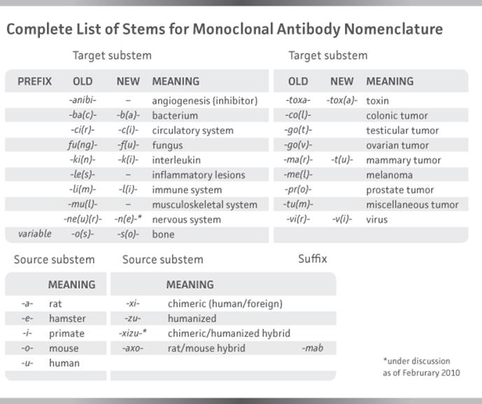 Obr. 4: Názvosloví monoklonálních protilátek (9) 4.2.3 Klasifikace monoklonálních protilátek Podle struktury dělíme MP na myší, chimérické, humanizované a lidské (viz obr. 5).