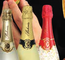BS_TEREZA_JAHODY_9lahvi_A5_sirka.