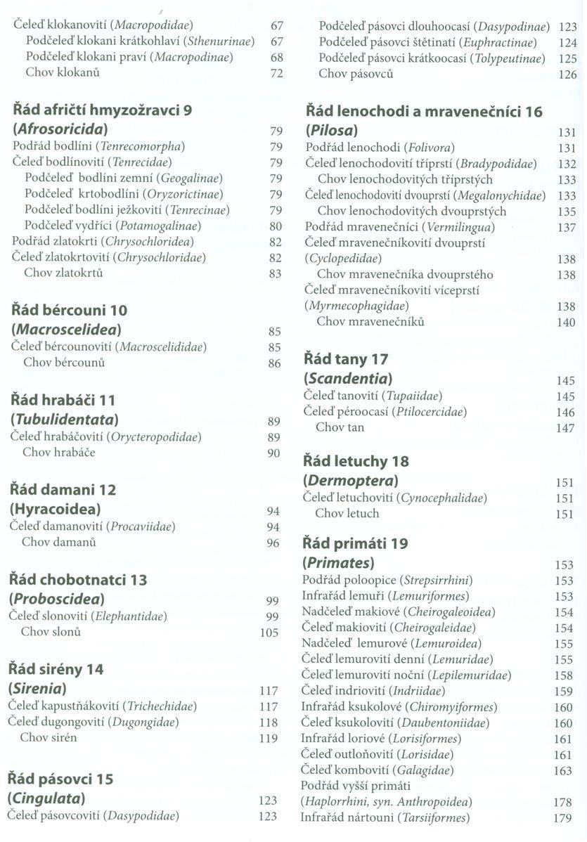 Čeleď klokanovití (Macropodidae) Podčeleď klokani krátkohlaví (Sthenurinae) Podčeleď klokan i praví (M acropodinae) Chov klokanů 67 67 68 72 Podčeleď pásovci dlouhoocasí (D asypodinae) 123 Podčeleď