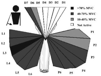 tak i větší fyziologický průřez svalu mají vnitřní rotátory (19 cm 2 ) než zevní rotátory paže (13 cm 2 ) (Altobelli, 2005). Aktivitou obou humerothorakálních svalů společně s aktivitou m.