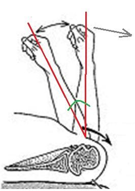 Změna sklonu lopatky v rovině sagitální, ve smyslu náklonu lopatky směrem vzad, byla vypočtena z poloh bodů acromion a angulus inferior scapulae v počáteční a konečné poloze (Obr. 29).