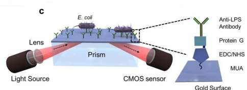 fotonického krystalu Povrchová plasmonová rezonance (SPR) Optický jev založený interakcí vodivostních elektronů kovu (zlata) s dopadajícím