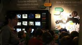 Příběh Moravského krasu Program v zážitkové expozici a 3D film Říše zkamenělého času.