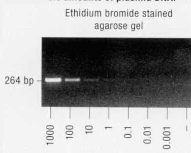 Primery mohou být značeny radionuklidem, fluoroforem i jinak a k detekci se využívá autoradiografie nebo fluorimetrie.