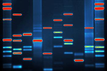 Doporučené adresy: http://www.allaboutscience.org/dna-double-helix-video.htm http://www.cmcmicrosystems.ca/news/events/mrdcan2004/highlights/zhoupresentation04.pdf http://www.roche-diagnostics.
