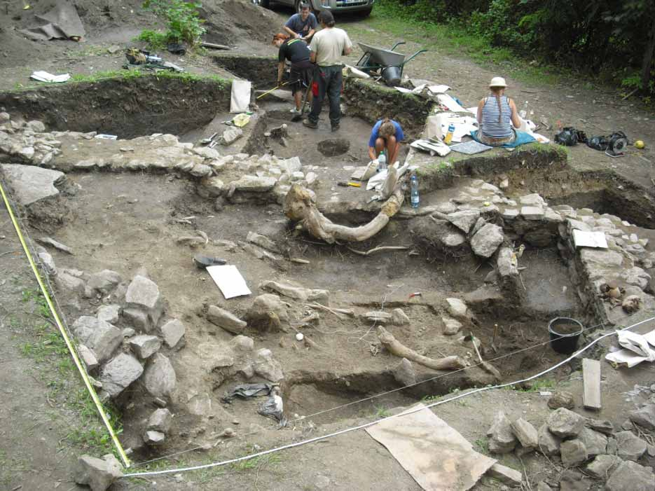Raně středověké pohřebiště v Netolicích a současná populace netolických starousedlíků (archeologie, antropologie, genetika): stav výzkumu 2011 Výsledky letní praxe