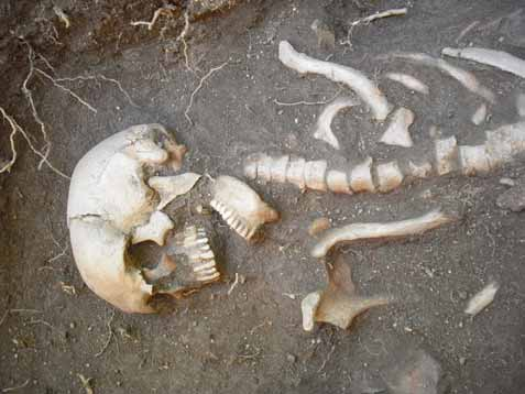 Archeogenetika pohřebiště Zatím jeden jedinec ze zubu: mtdna (haplotyp H), YNR (haplotyp