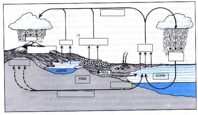 6. Vysvětli pojmy: a) oceánologie věda o mořích a oceánech b) potamologie věda o tekoucích povrchových vodách c) limnologie věda o jezerech a přehradách d) kryologie věda o sněhu a ledu 7.