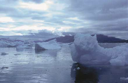 Kontinentální splazy se však pohybují mnohem rychleji než horské ledovce (až 10 km za rok).