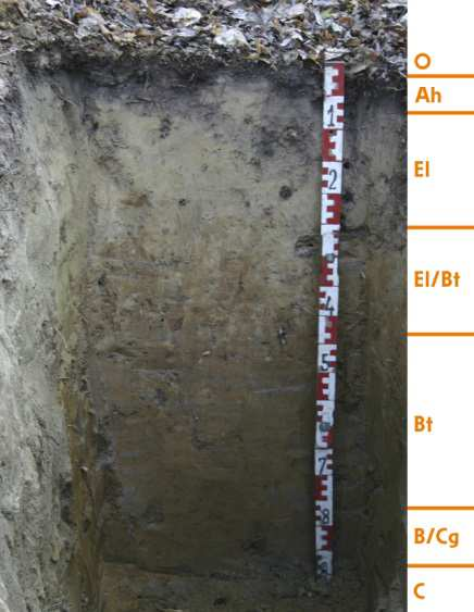 illimerizace (4/4) strana 24 Koeficient texturní diferenciace číslo, které získáme tak, že určíme obsah jílu ve dvou sousedních horizontech, a vydělíme větší číslo (vrstva obohacená jílem) číslem