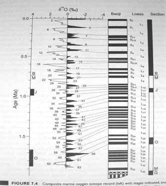 1991) MIS Quaternary glacial cycles 100 ky amplitude Rozsáhlé změny v dynamice bioty Q3 Hranice biozon a synchronní změny společenstev Toringian Steinheimian Oldenburgian 40 ky amplitude Zásadní