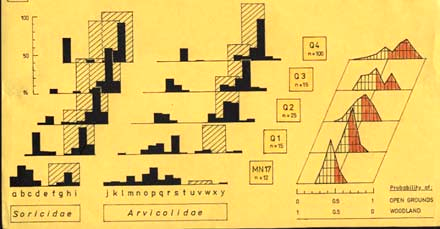 The (C) data were computed by multiplication of the taxon-specific probability values by the respective taxon percentages.