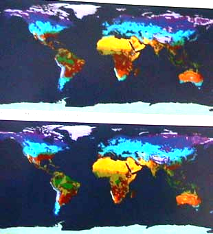 Posun vegetačních pásem Globální oteplování : Skleníkový efekt způsobený antropogenní produkcí skleníkových plynů (CO 2, CH 4, O 3.
