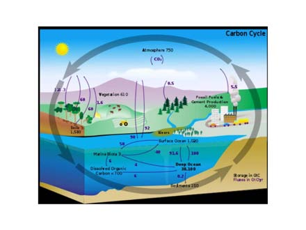 všech zásob uhlí 2200 ppm Zdroje a distribuce klimatické energie V rovnováze (příroda!) Solární konstanta : S = 1,35 kw/m 2 = 8,123 J/cm 2.