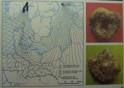 subarktická, tundrová fauna, ve střední a západní Evropě, v
