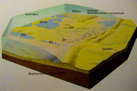Kontinentální ledovec mocnost až 3 km Globální efekt ledové doby Základní představa o existenci glaciálu - již 1. polovina 19.
