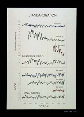 klimatu * historie interpretací * současný obraz, biogeografické