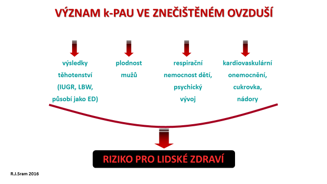 7 zátěži populace je nutné uvažovat i mezigenerační přenos poškození genetického materiálu, a tím i další ovlivnění vývoje dětí.