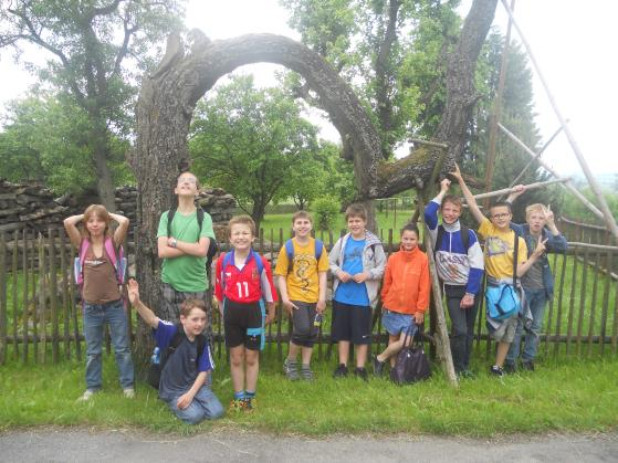 I letos školní družina uspořádala turistický výlet do Bořin.