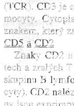 Znaky definující vývjvá stadia a fu nkční pdskupiny,04 Znak definující "T-helper" pdskupinu T lymfc y tů v periferní krvi, zárveň je exprimván také mncyty.