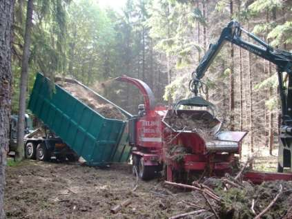 Energie z biomasy potenciál energeticky využitelné lesní biomasy