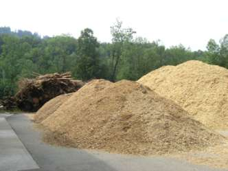 m 3 ) palivové dřevo 1 225 zbytky po těžbě v lese 1 768 dřevní odpad ze