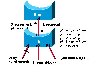 Obrázek 11: Mechanismus nabídka/souhlas Když je designated port ve stavu discarding nebo learning (a pouze tehdy), nastavuje proposal (nabídkový) bit v BPDU, které posílá.