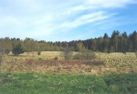 Přístup k rezervaci je možný ze silnice Nové Hrady - Třeboň z parkoviště u osady Jiříkovo Údolí s odbočkou vpravo po zelené turistické značce k hranici rezervace (1 km) nebo po modré značce Nové