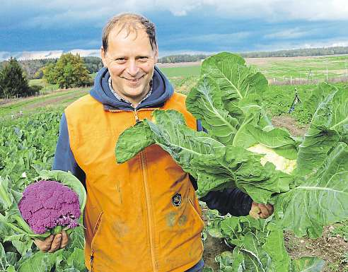 Až devadesát procent lovených ryb tvoří kapři, zbytek zastoupení představuje amur, štika, sumec, candát, okoun, lín a další.
