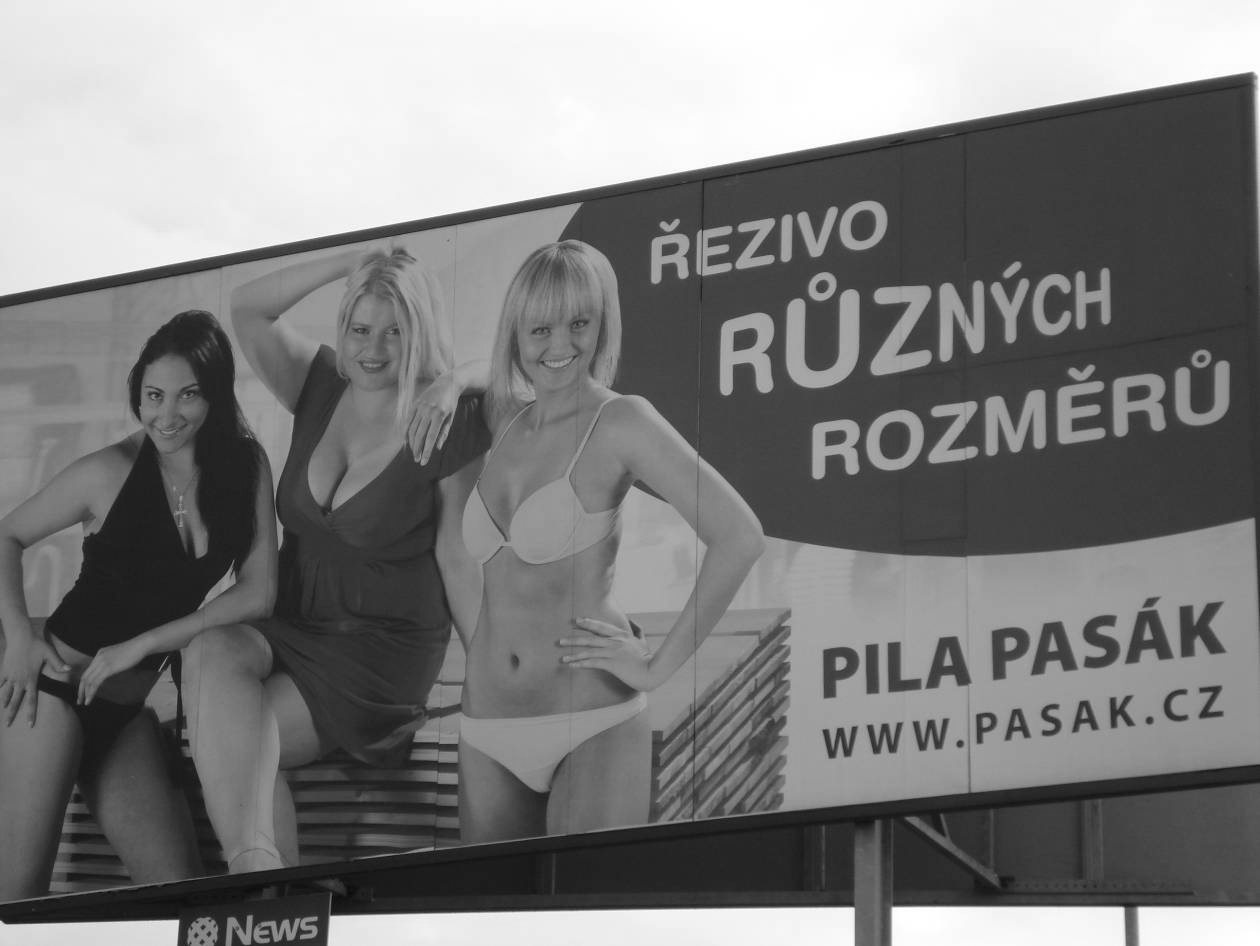 Příloha 2 Billboard, který je umístěn v blízkosti silnice E55 v Táboře, dobře ilustruje dvojsmysly, lascivnost i vtip.