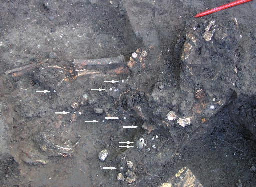 Archeologie doby hradištní v České a Slovenské republice Obr. 6. Klecany I.